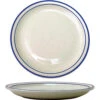 International Tableware DA-8 Danube Blue Speckle 9" Plate - 24 / CS 2 International Tableware DA-8 Danube Blue Speckle 9" Plate - 24 / CS -Libbey Kitchenware Store 6015481