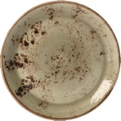 Steelite 11310566 Performance Craft Green 10" Coupe Plate - 24 / CS