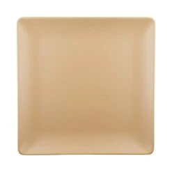 EGS ECO1111SQ-PB Greenovations Paper Bag 11" Square Plate - 6 / PK