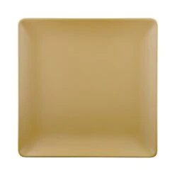EGS Greenovations ECO1111SQ-RT 11" Square Plate - 6 /CS