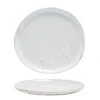 FOH DDP069BEP22 Artefact Ash 9" Plate - 6 / CS -Libbey Kitchenware Store 6071003