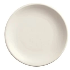 World Tableware DRI-1-D Driftstone Driftwood 6" Plate - 24 / CS