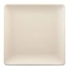 EGS ECO66SQ-PP Greenovations Papyrus 6" Square Plate - 6 / CS -Libbey Kitchenware Store 6080124