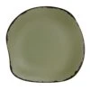 Delfin 7216DD028 Marisol Rustic Sage 11-1/2" Plate - 12 / CS 2 Delfin 7216DD028 Marisol Rustic Sage 11-1/2" Plate - 12 / CS -Libbey Kitchenware Store 6093886