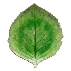Costa Nova VEP221-TMT Riviera Green 8.5 In Hydrangea Leaf Plate - 6 / CS