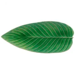 Costa Nova VEA401-00816L Riviera Green 15.75" Strelizia Leaf Tray