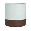 Steelite 6212RT006 Maham Studio Spice Sea Salt 8.5 Ounce Cup - 12 / CS 2 Steelite 6212RT006 Maham Studio Spice Sea Salt 8.5 Ounce Cup - 12 / CS -Libbey Kitchenware Store 6102936