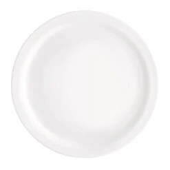 Bormioli Rocco 49205Q962 Careware White 10" Plate - 24 / CS