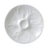 Vertex China ARG-OP Market Buffet 9" White Oyster Plate - 24 / CS 2 Vertex China ARG-OP Market Buffet 9" White Oyster Plate - 24 / CS -Libbey Kitchenware Store 738549
